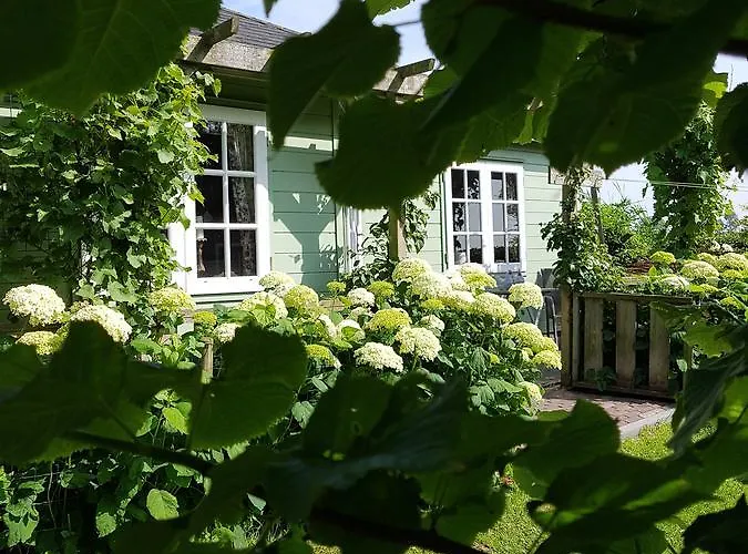 Romantisch Huisje Nabij Het Strand Met Uitzicht Op De Tulpenvelden