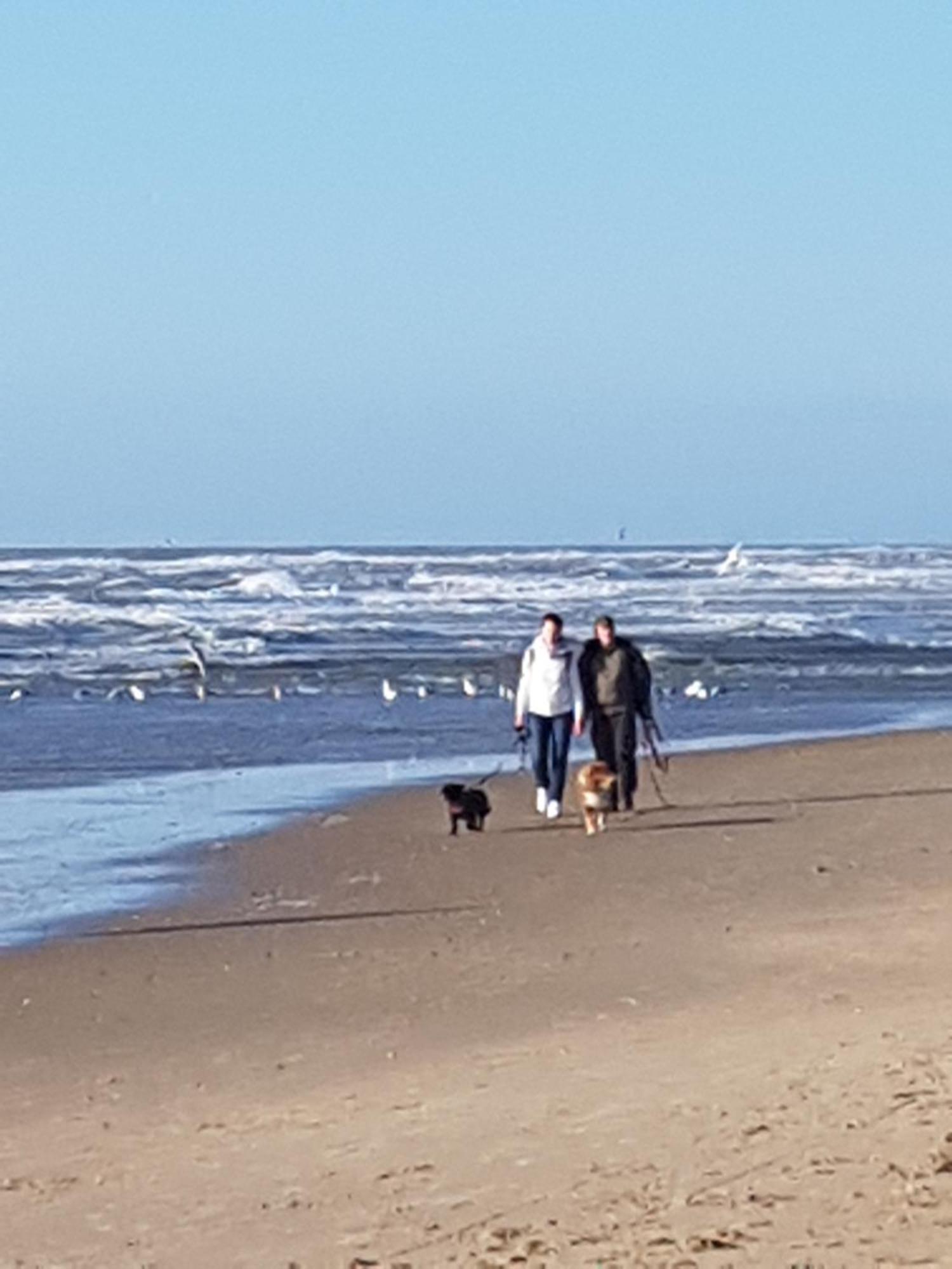 Romantisch Nabij Het Met Uitzicht Op De Tulpenvelden Holiday home *