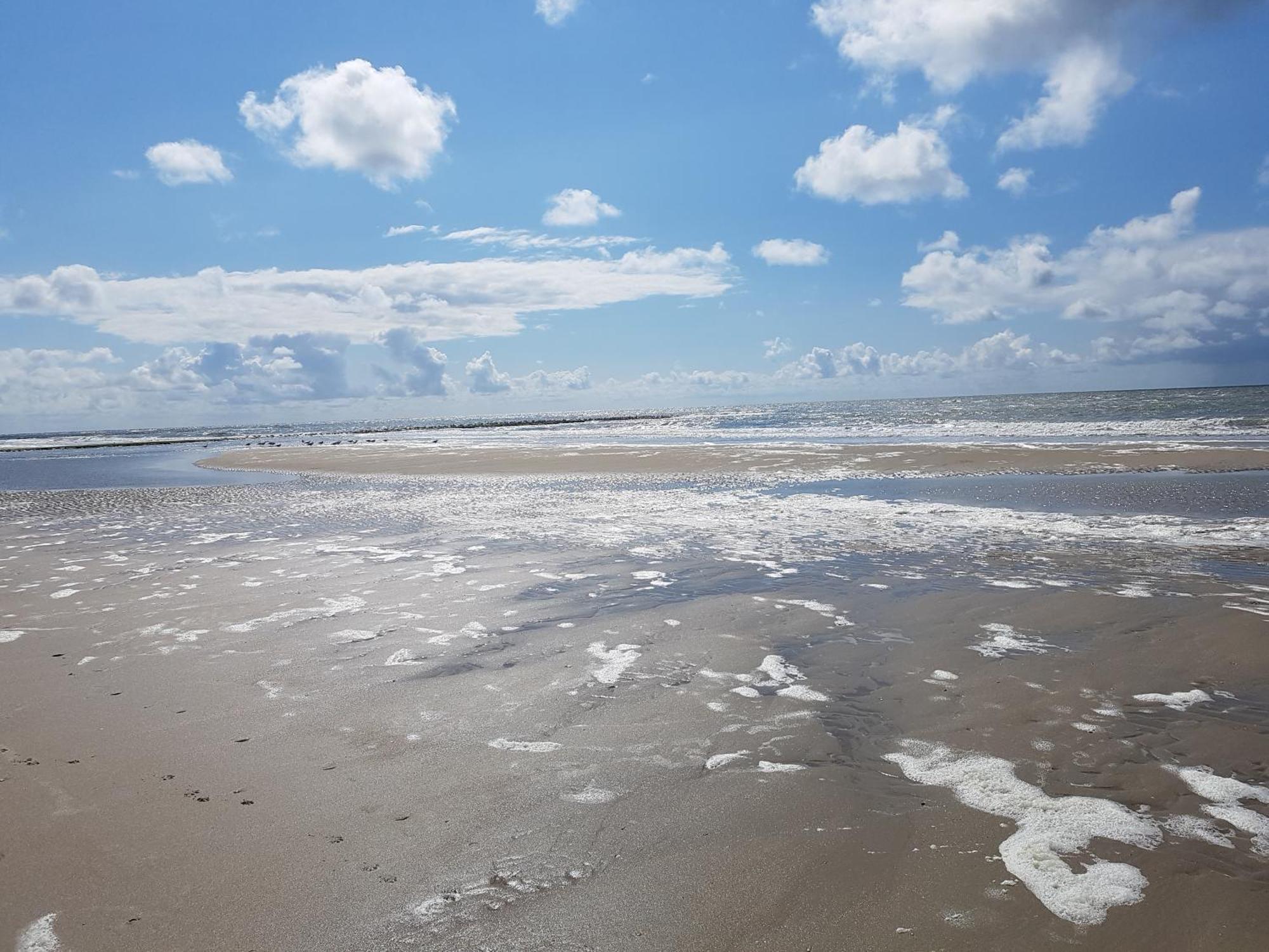 Romantisch Nabij Het Met Uitzicht Op De Tulpenvelden *