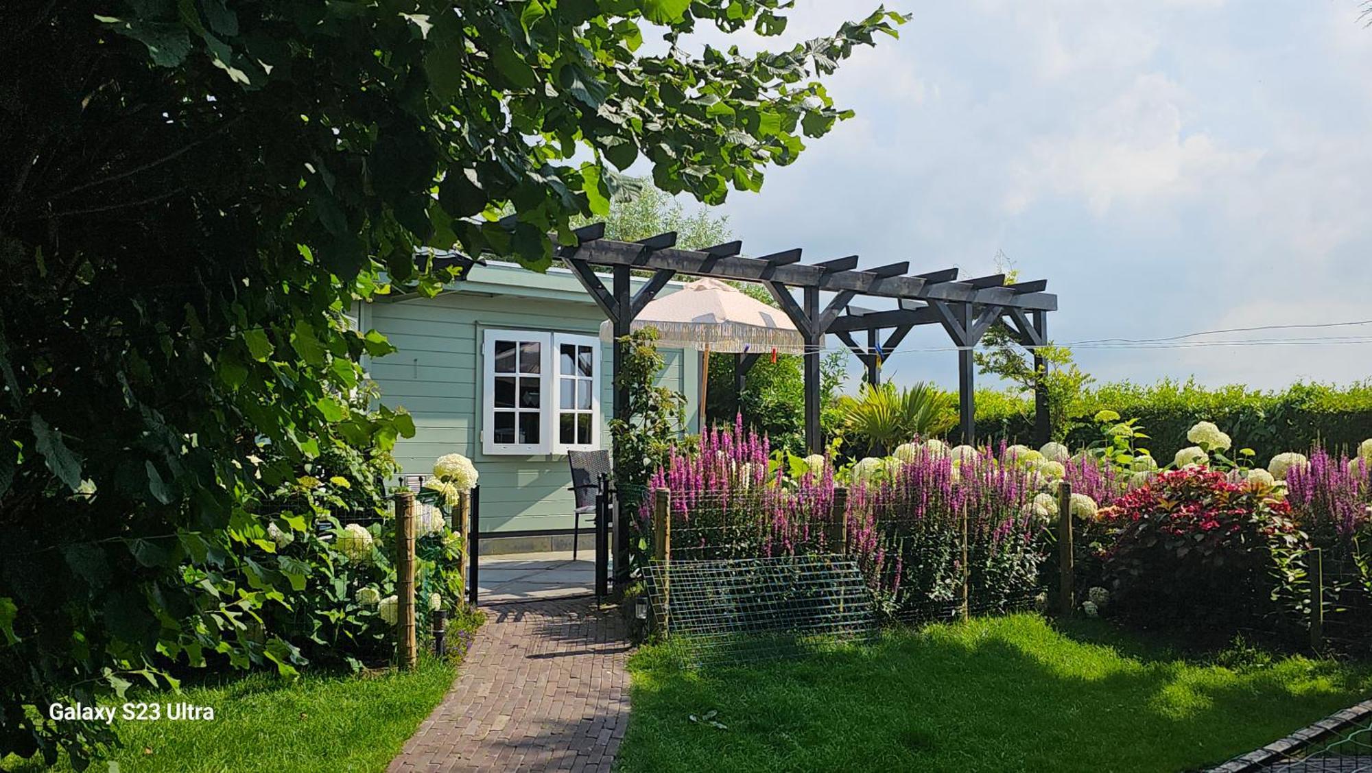 Romantisch Nabij Het Met Uitzicht Op De Tulpenvelden