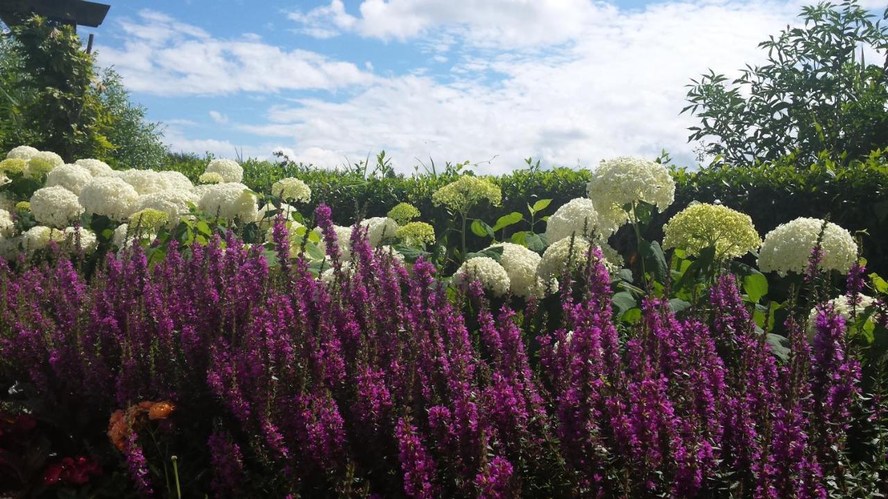 Romantisch Nabij Het Met Uitzicht Op De Tulpenvelden * Julianadorp