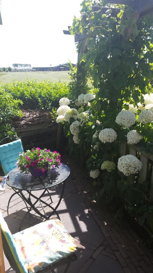 Romantisch Nabij Het Met Uitzicht Op De Tulpenvelden * Julianadorp